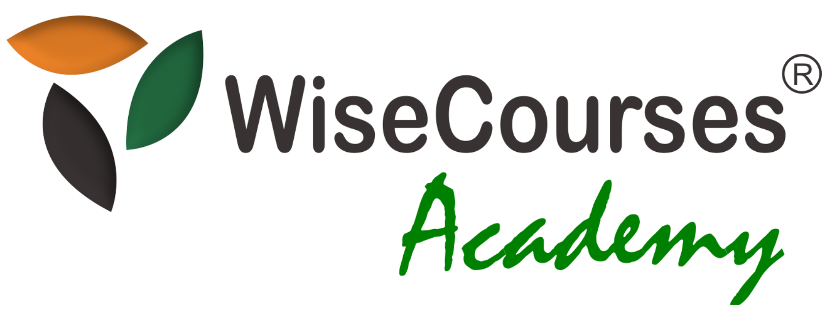 WiseCourses Academy